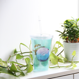 雙層透明吸管杯